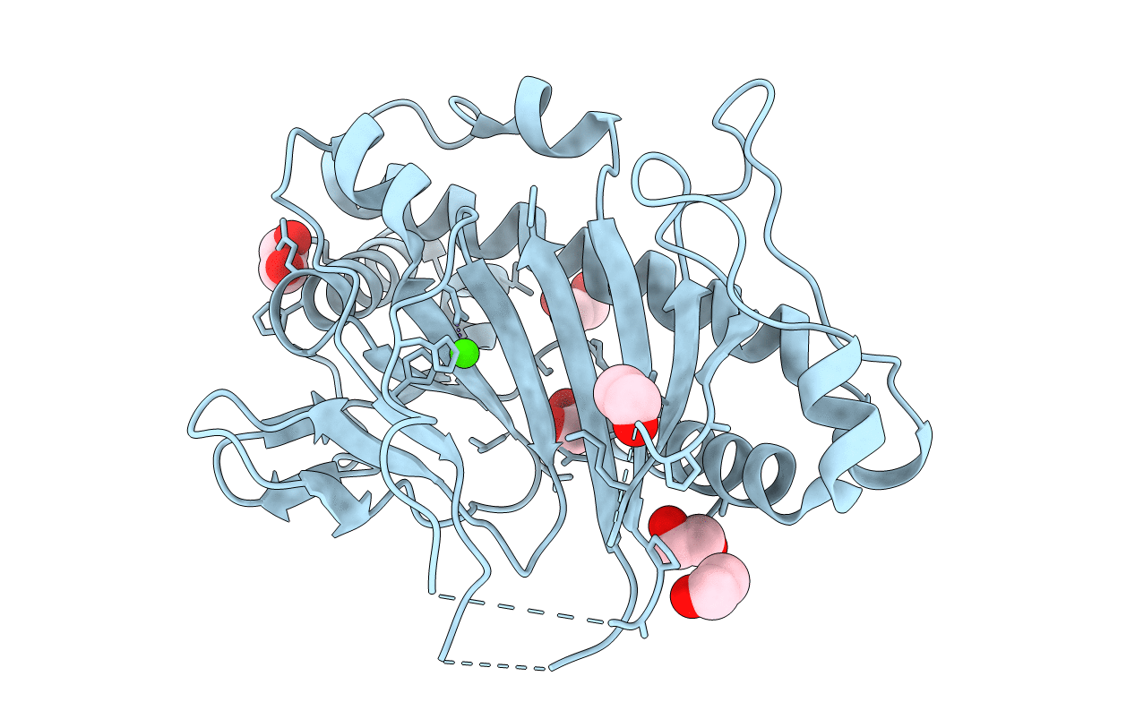 5C3O image
