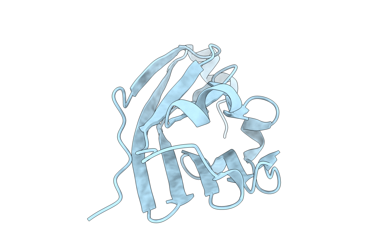 5C3T image