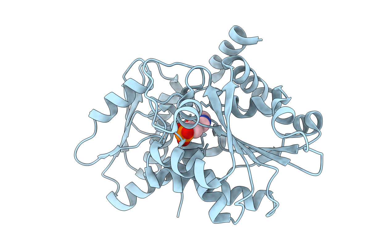 5C3U image
