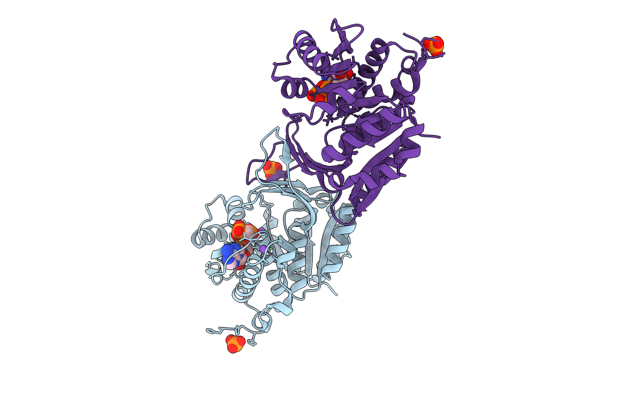 5C40 image