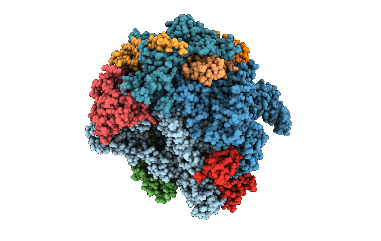 5C44 image