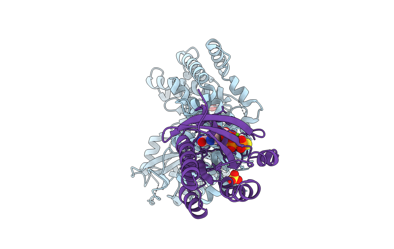 5C46 image