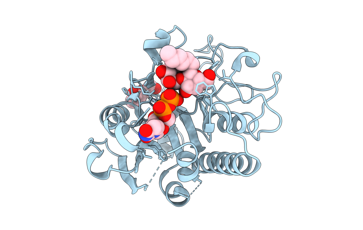 5C49 image