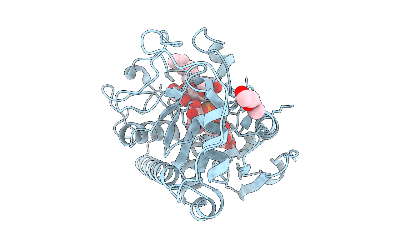 5C4B image