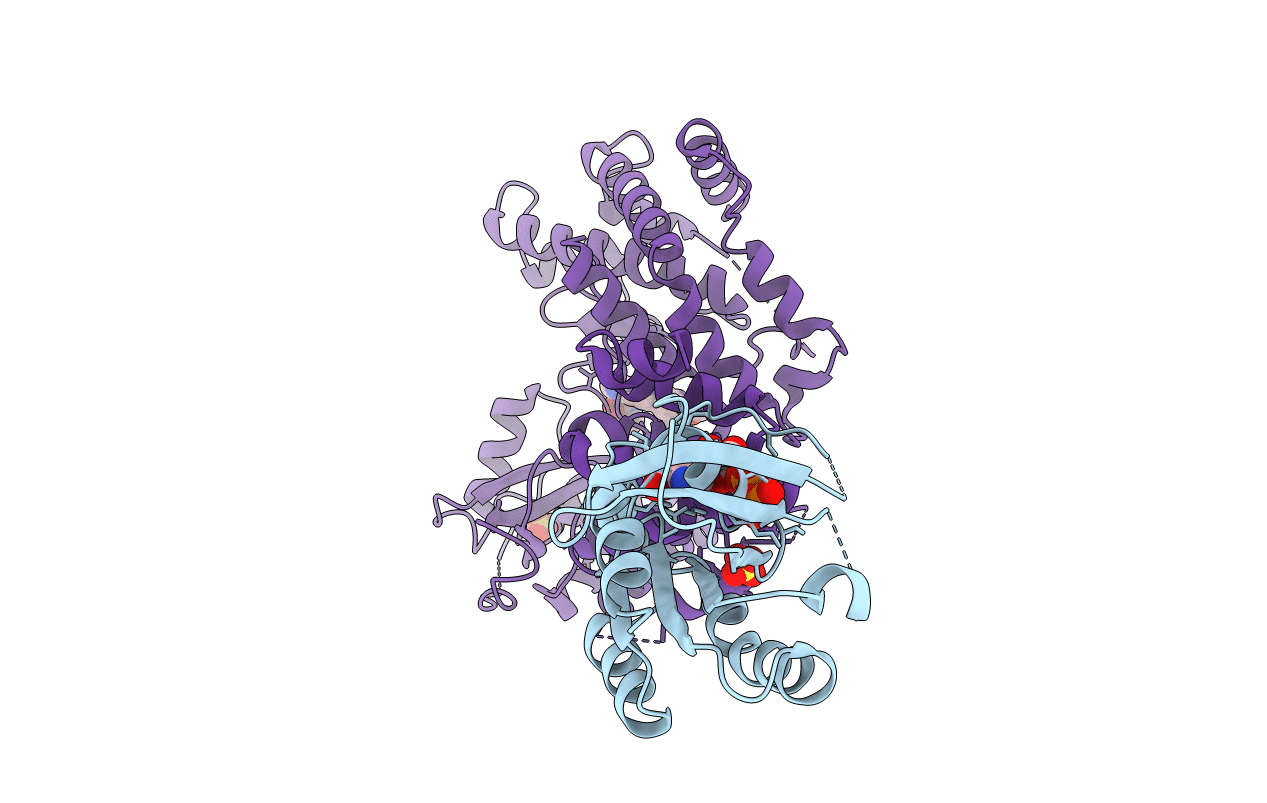 5C4G image