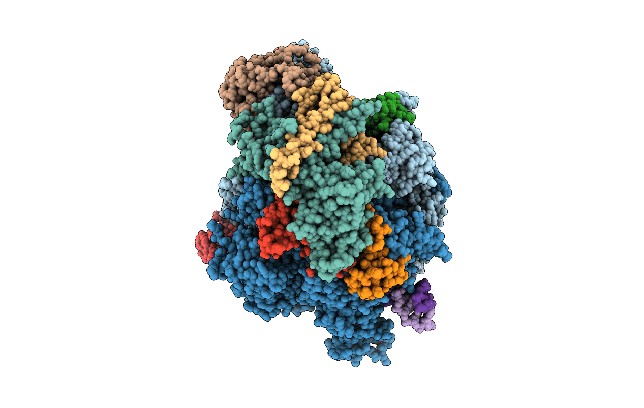 5C4J image