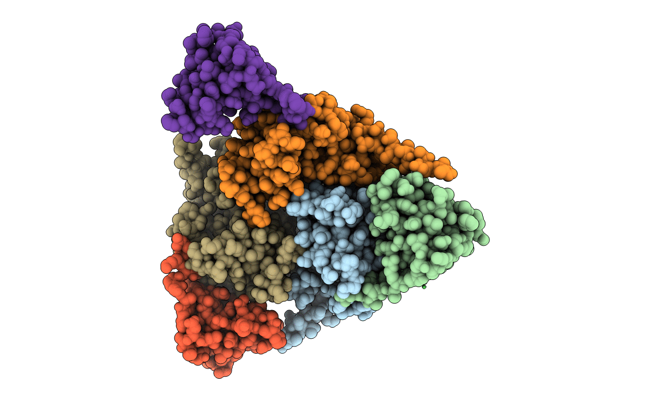 5C4V image