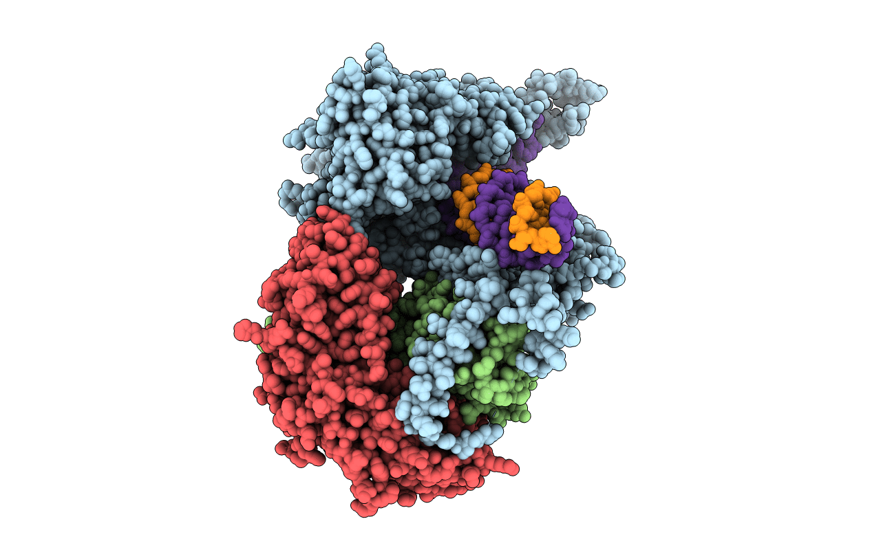 5C52 image