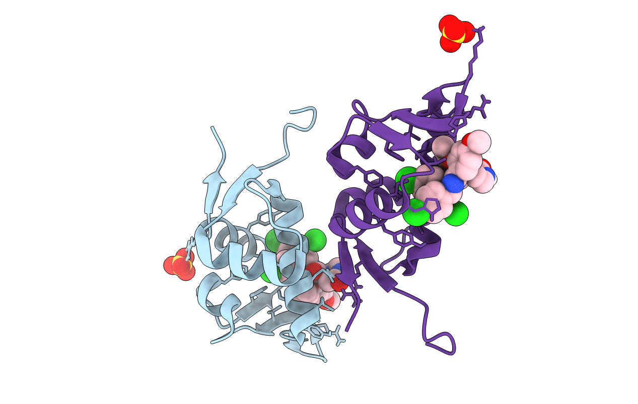 5C5A image