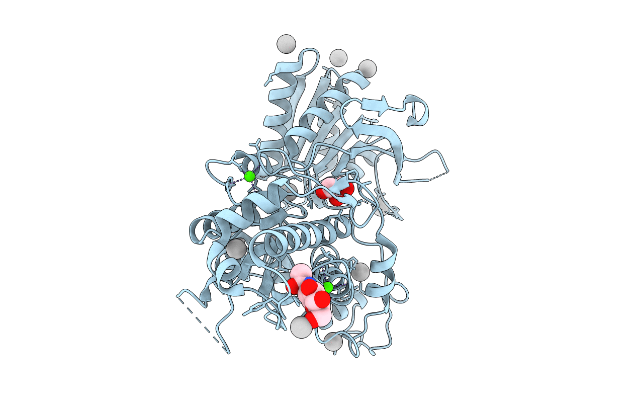 5C5C image