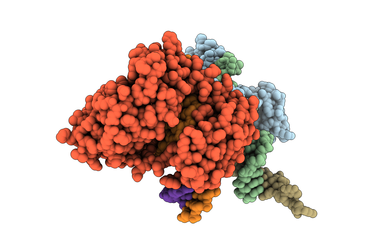 5C5J image