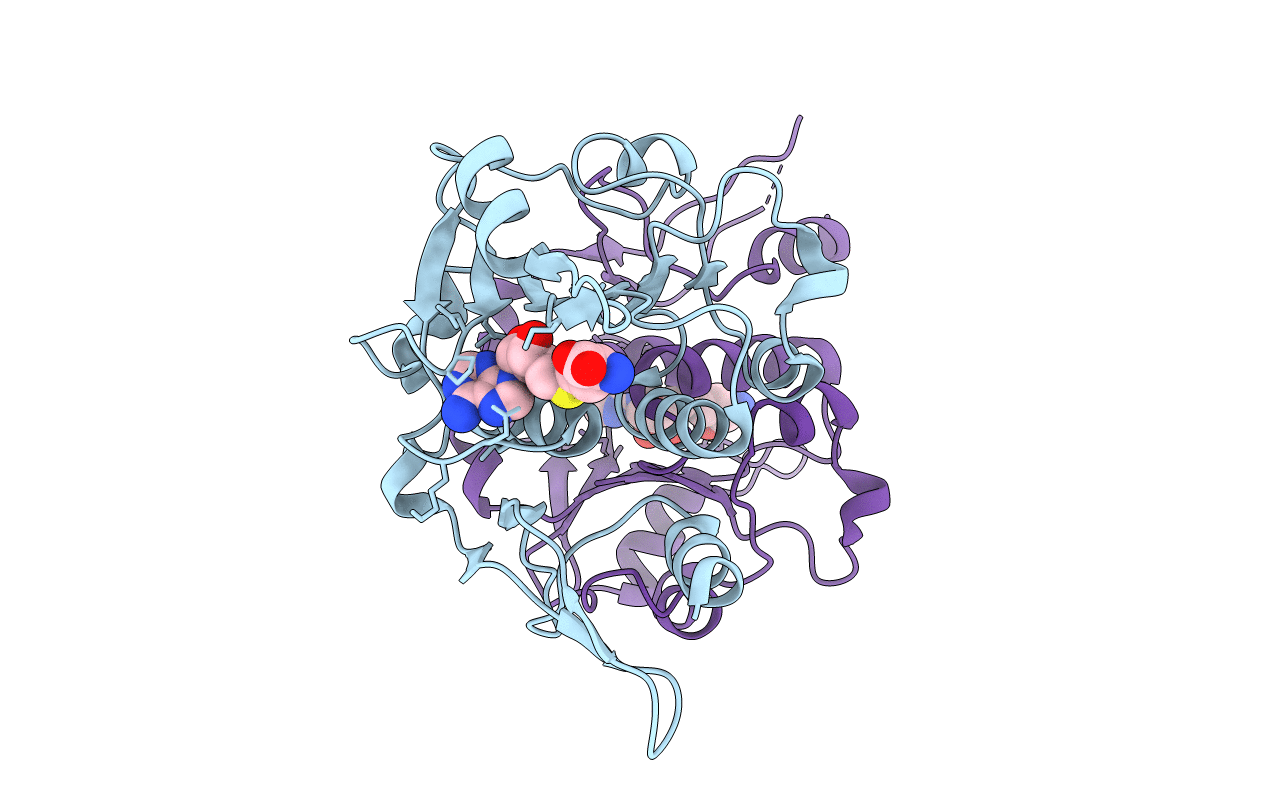 5C77 image