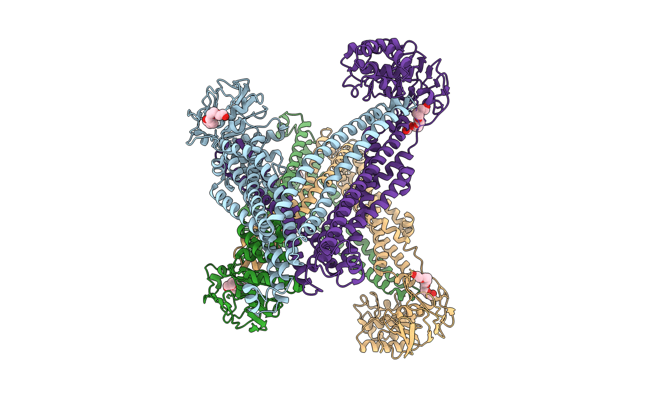 5C78 image