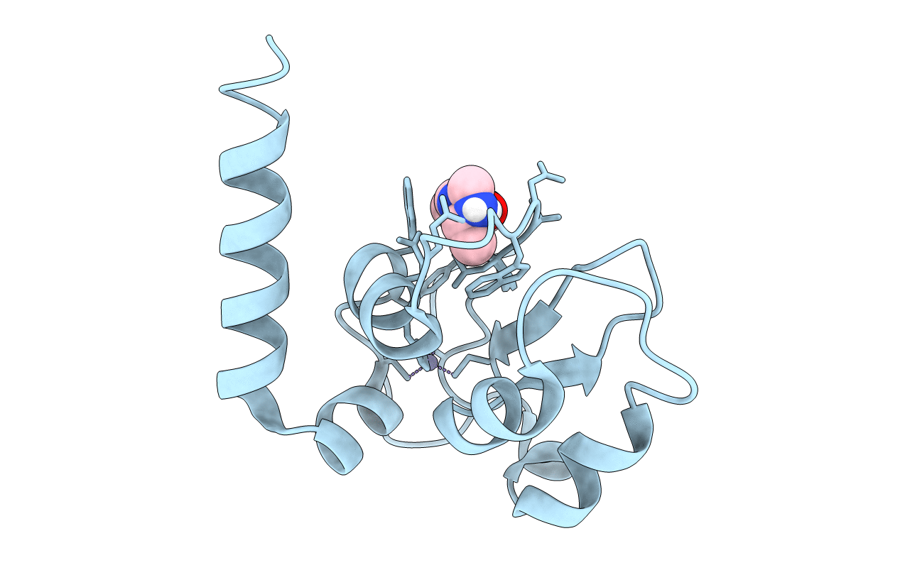 5C7B image