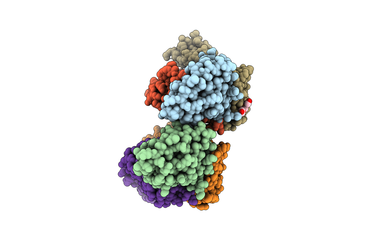 5C7X image