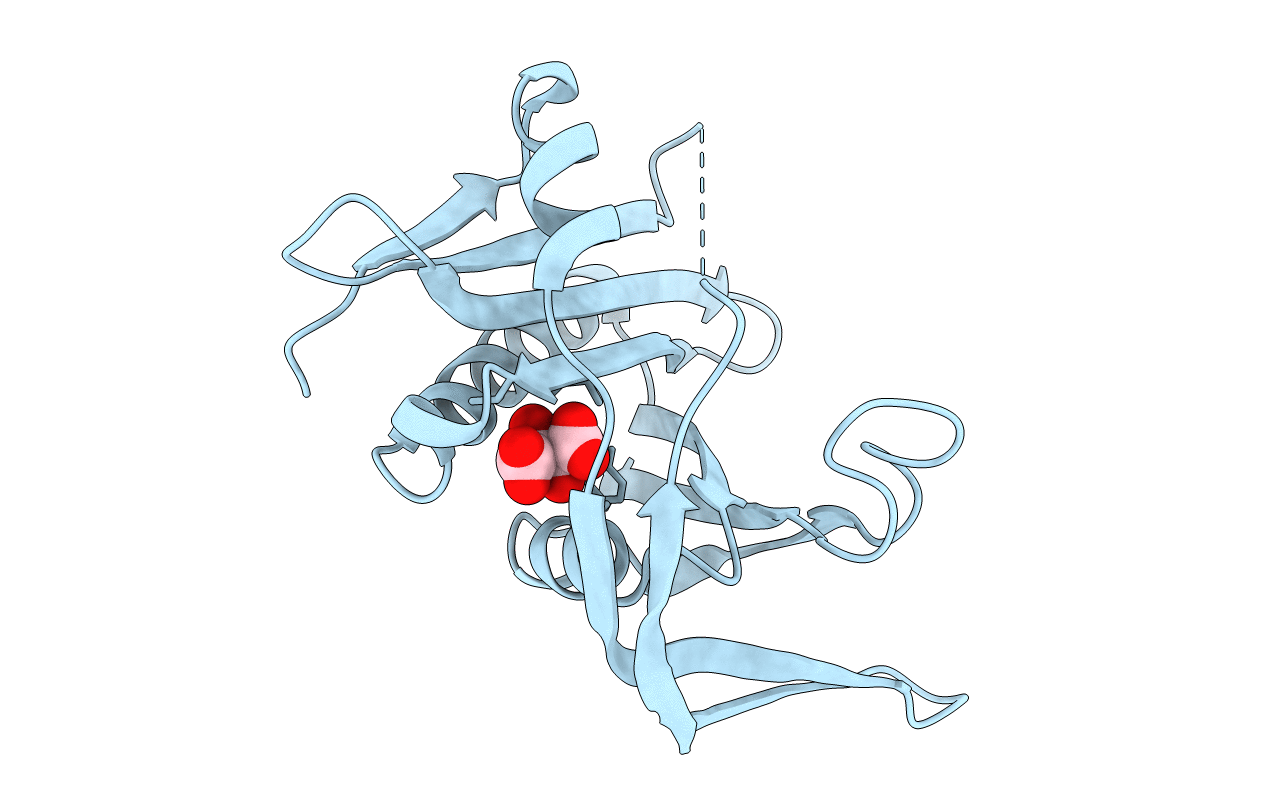 5C82 image
