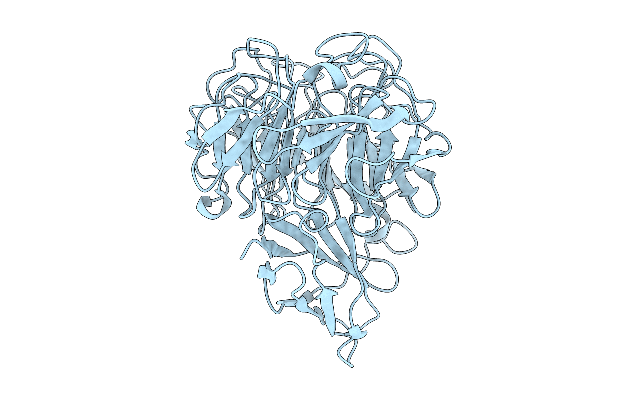 5C86 image