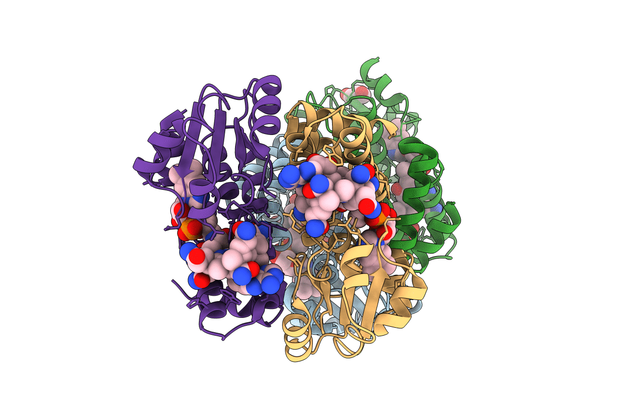 5C8A image