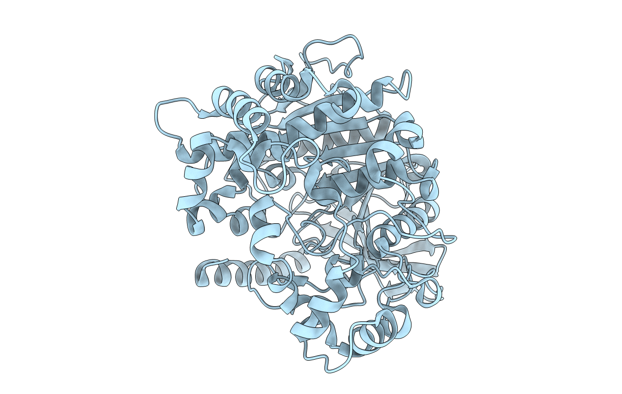 5C8V image