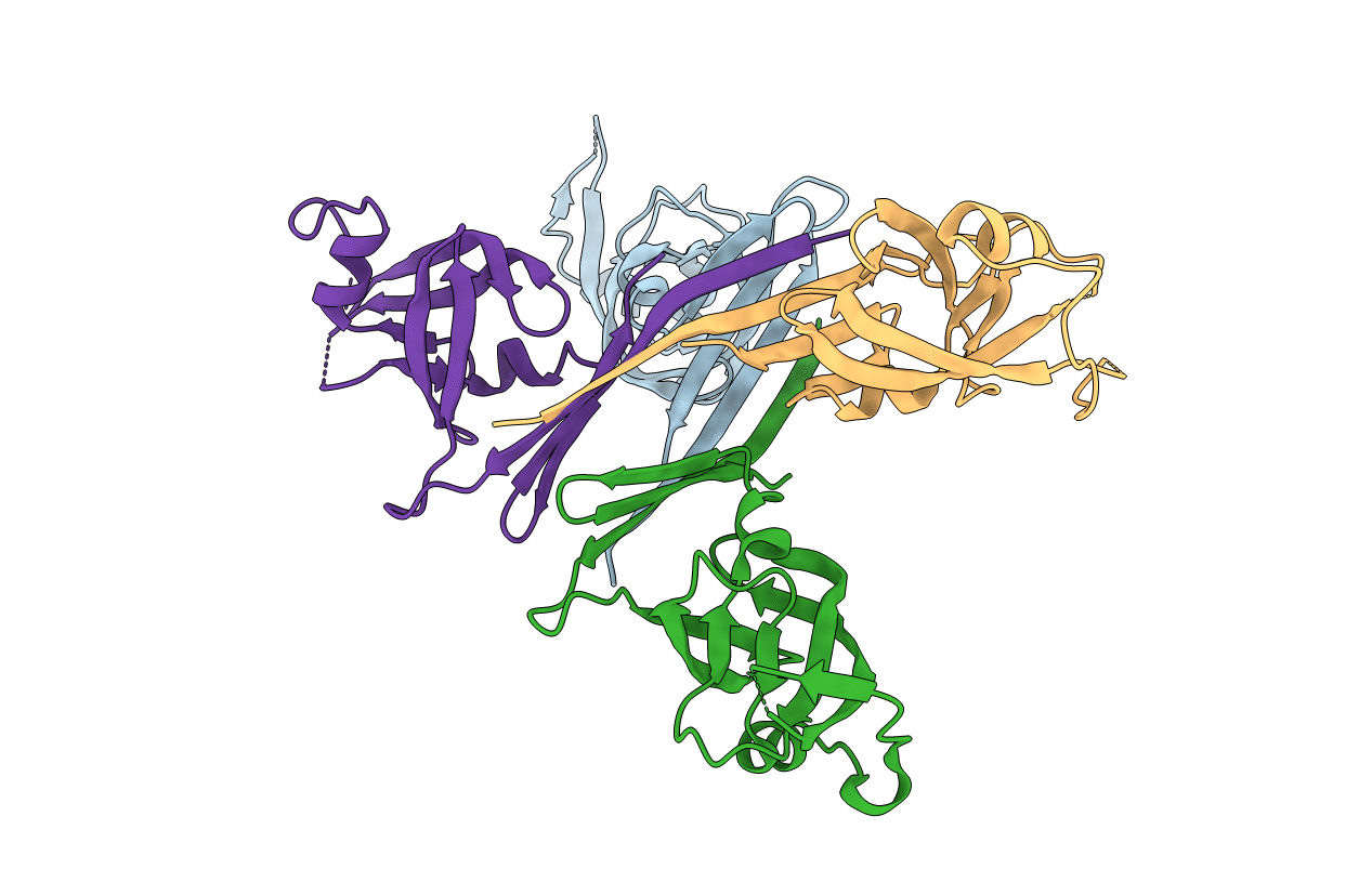 5C9B image