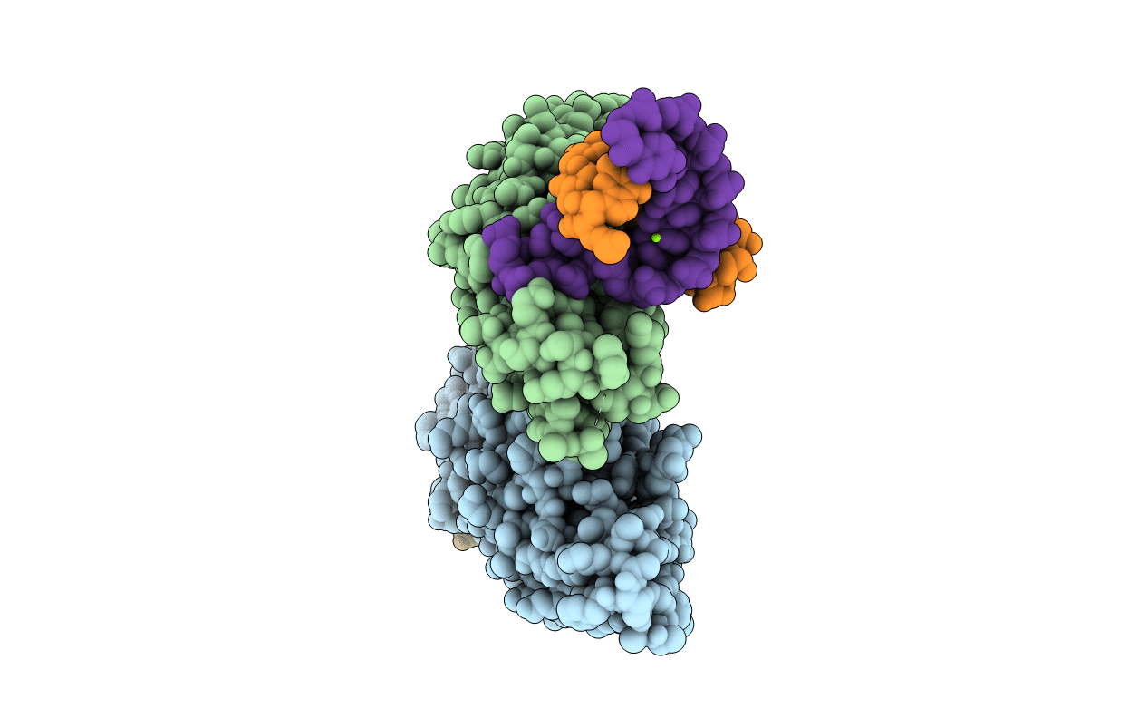 5C9H image
