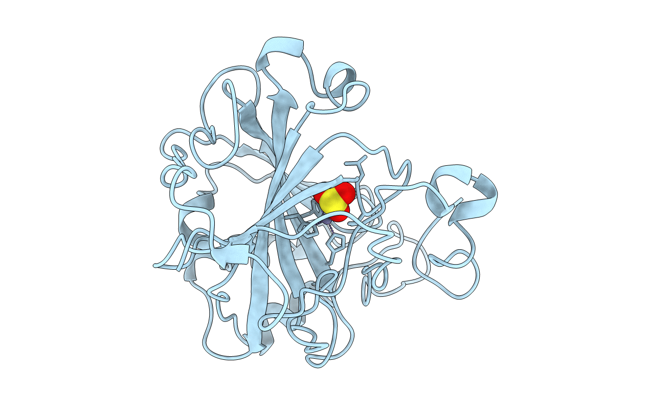 5CAC image