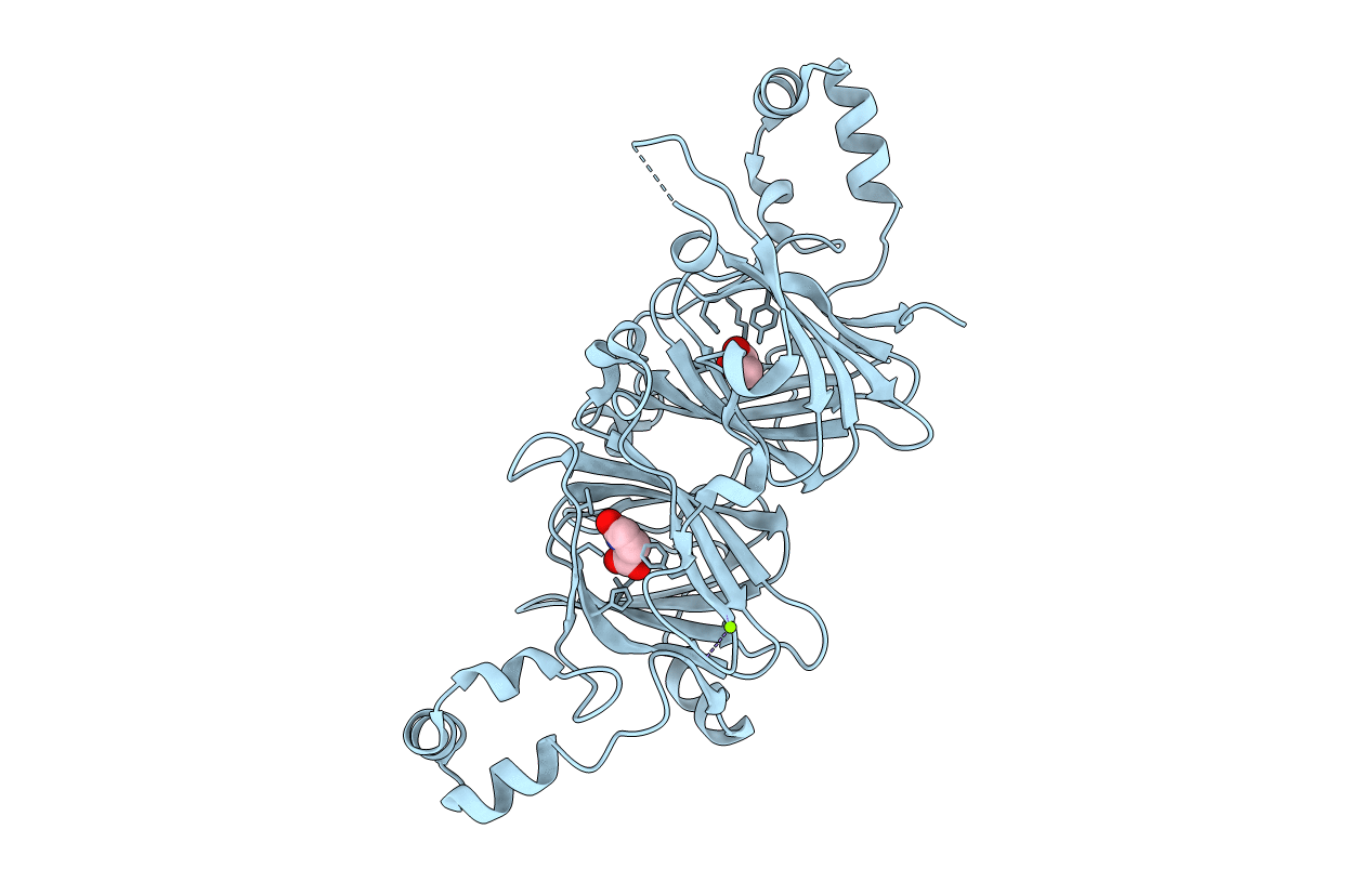 5CAD image