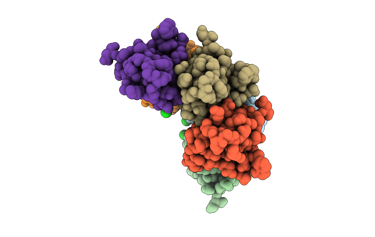 5CAI image