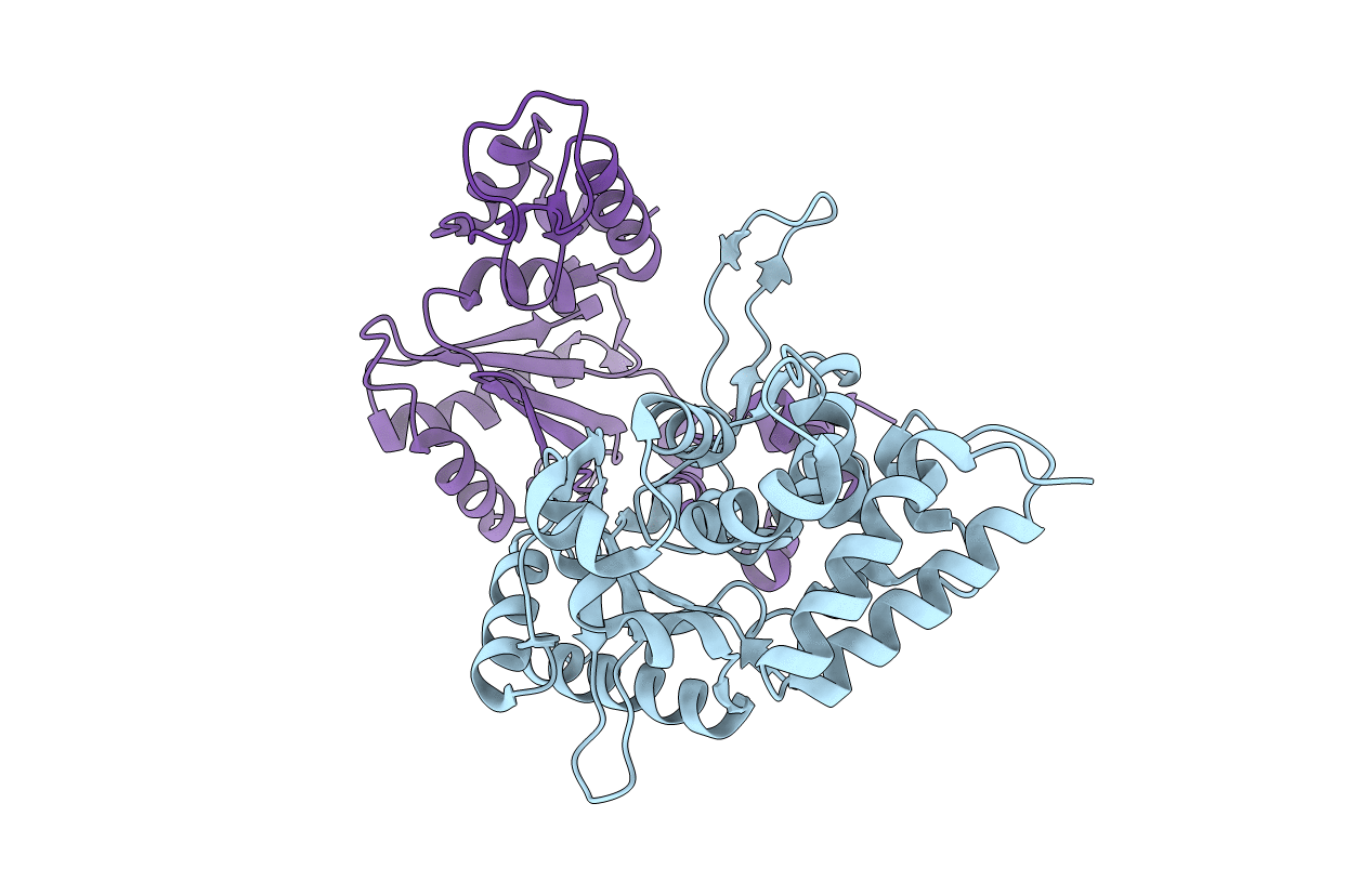 5CB1 image