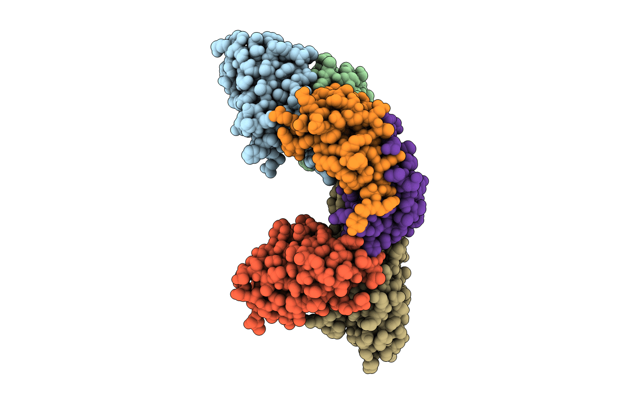 5CBE image