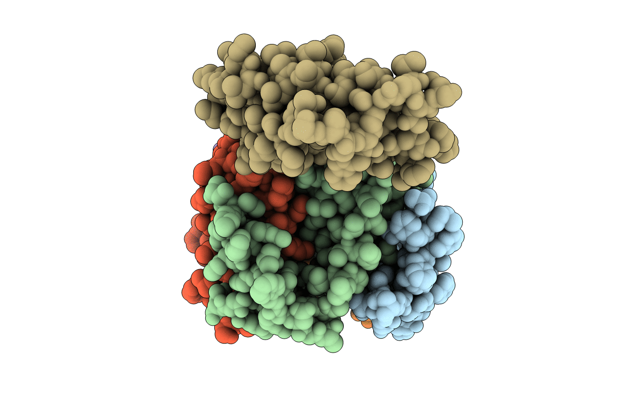 5CBF image