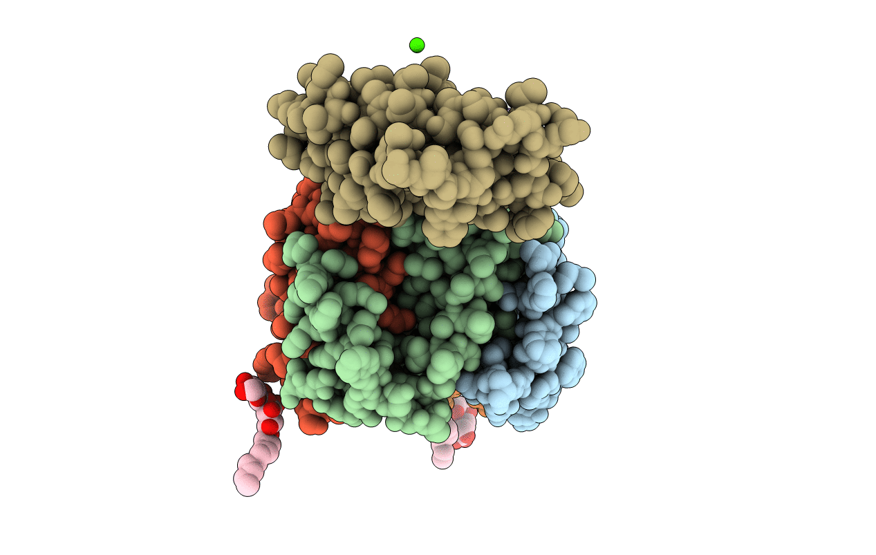 5CBG image