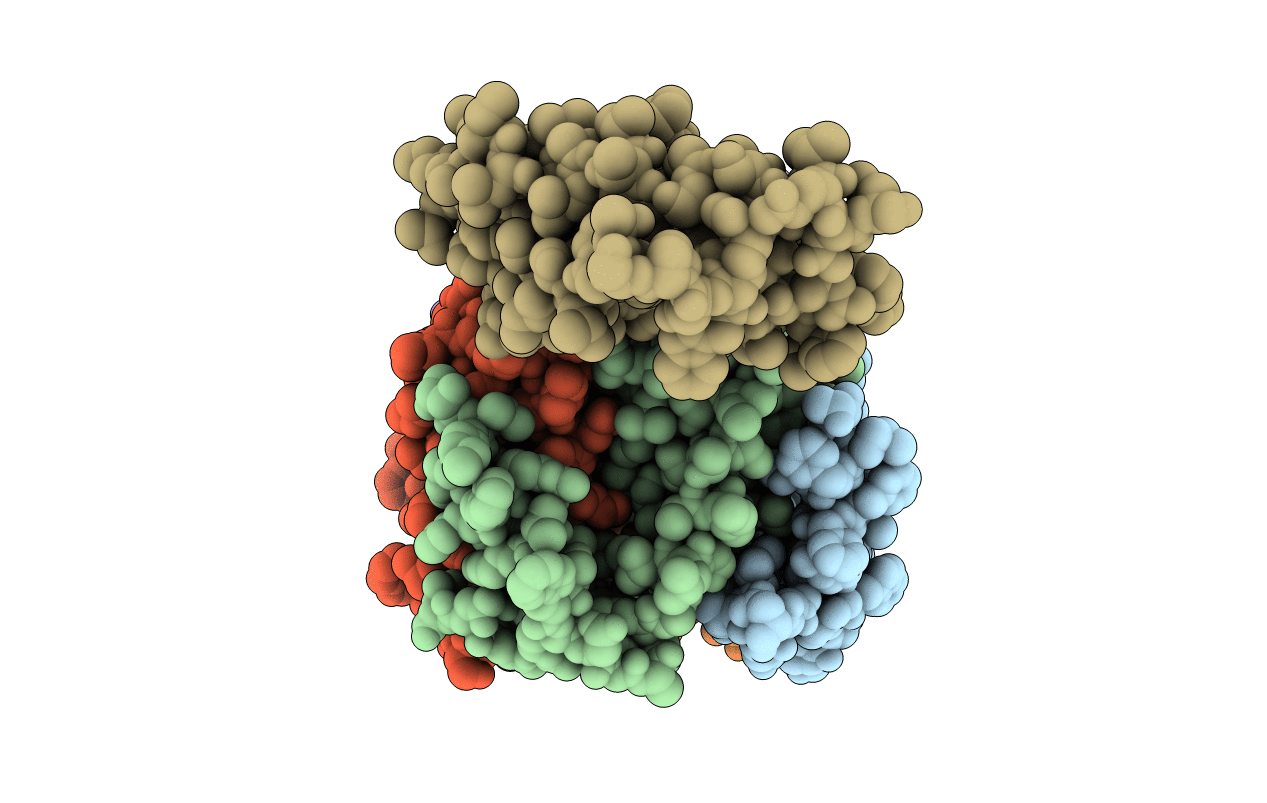 5CBH image