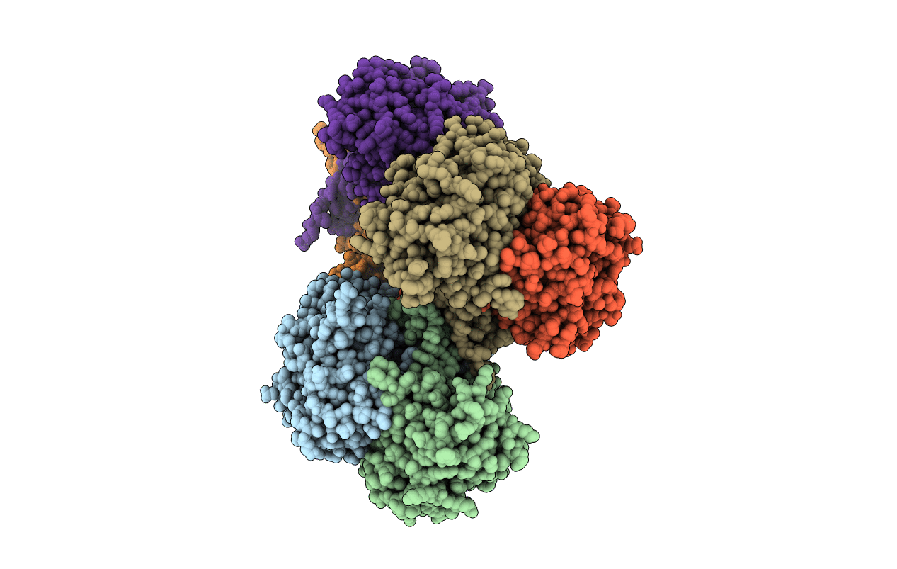 5CBQ image