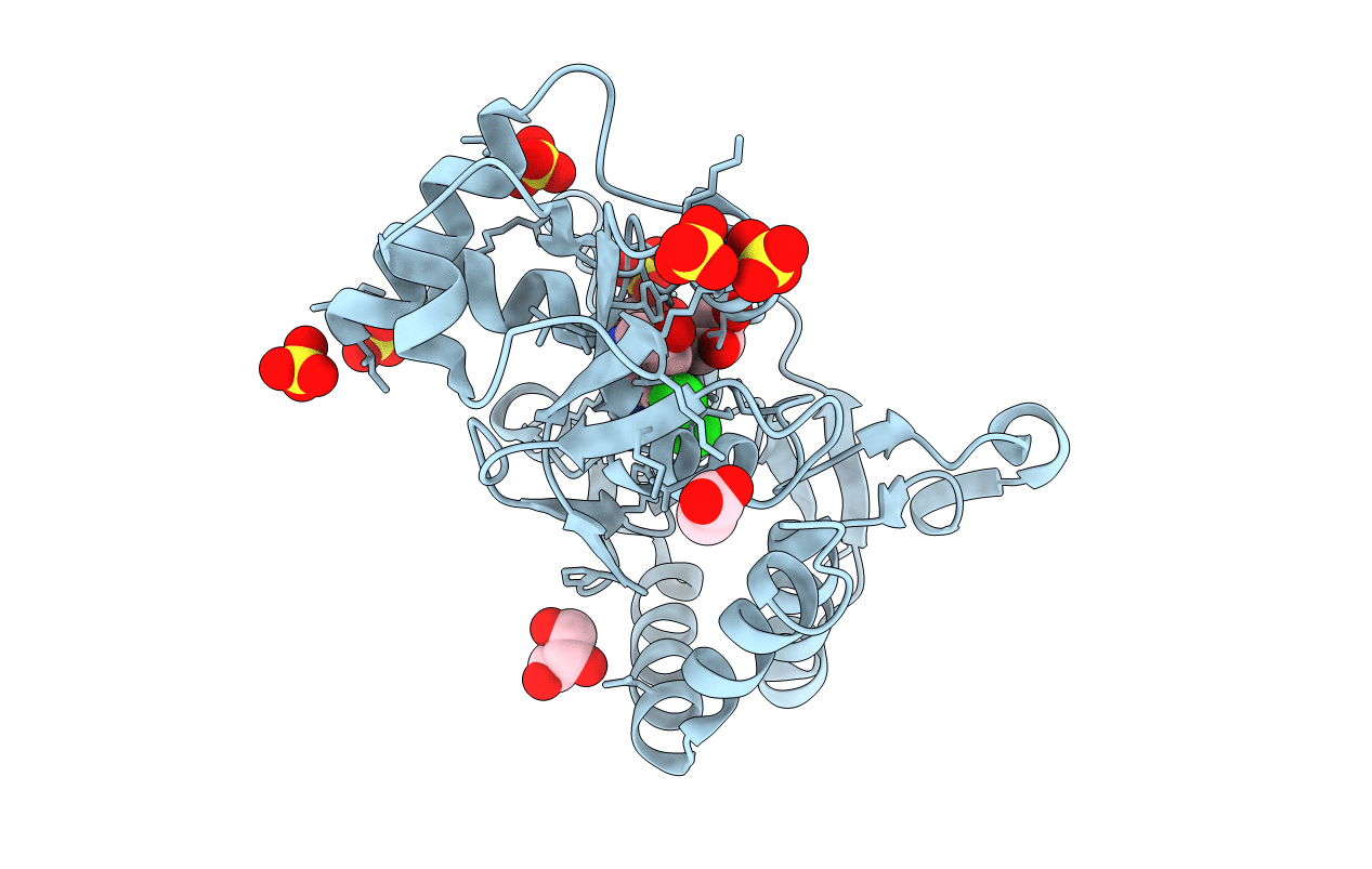 5CBR image