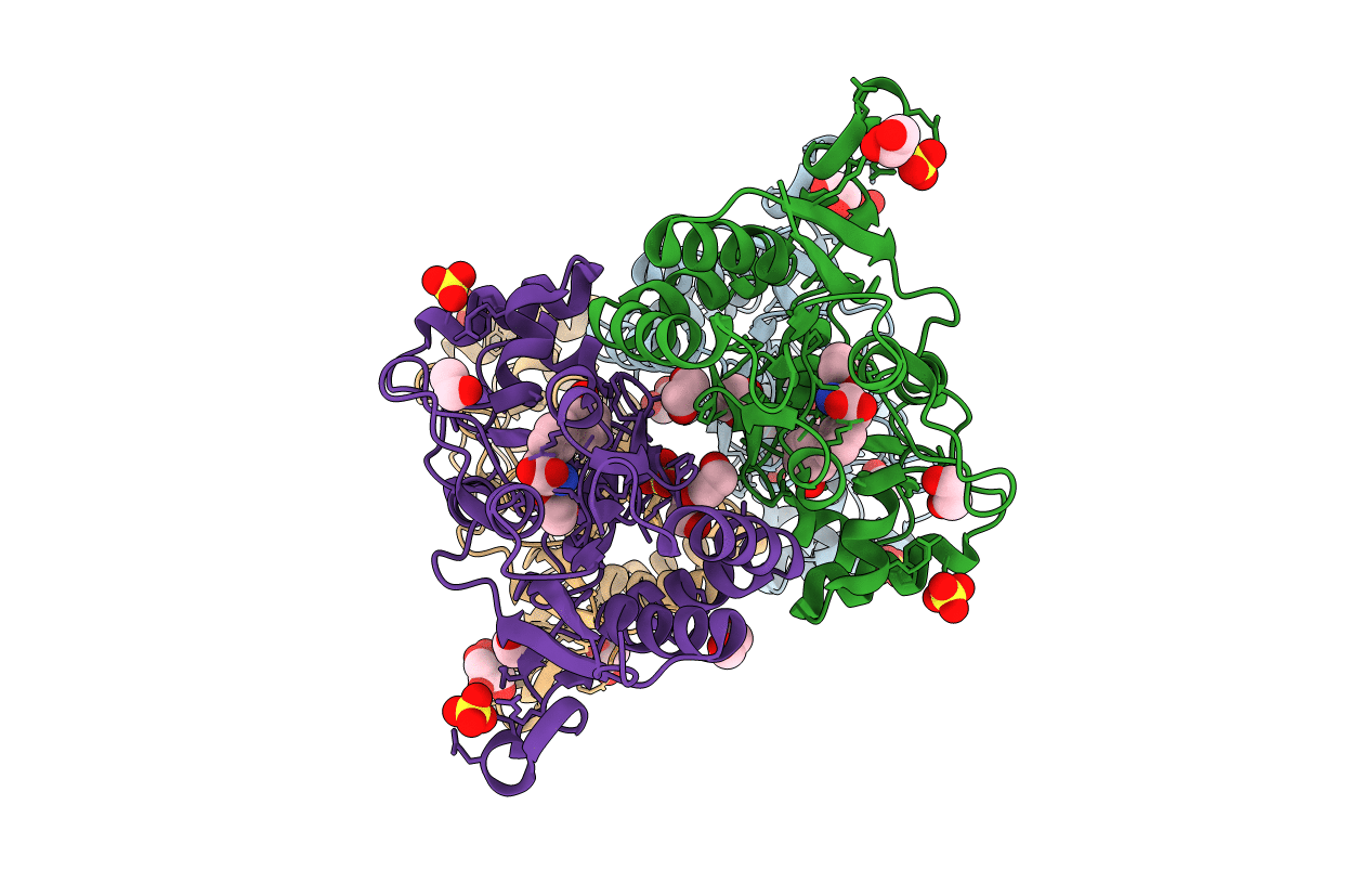 5CBS image