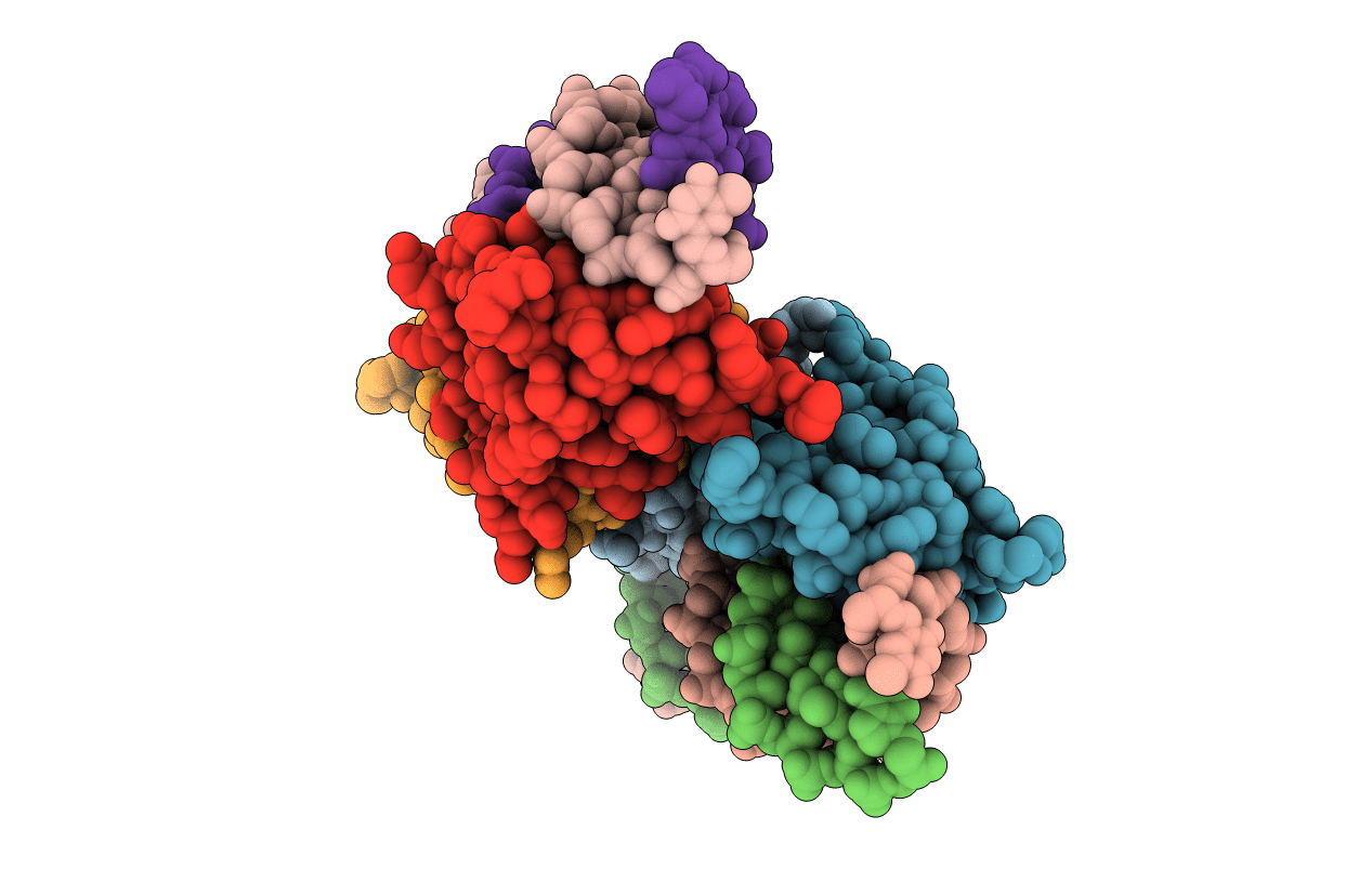 5CBX image