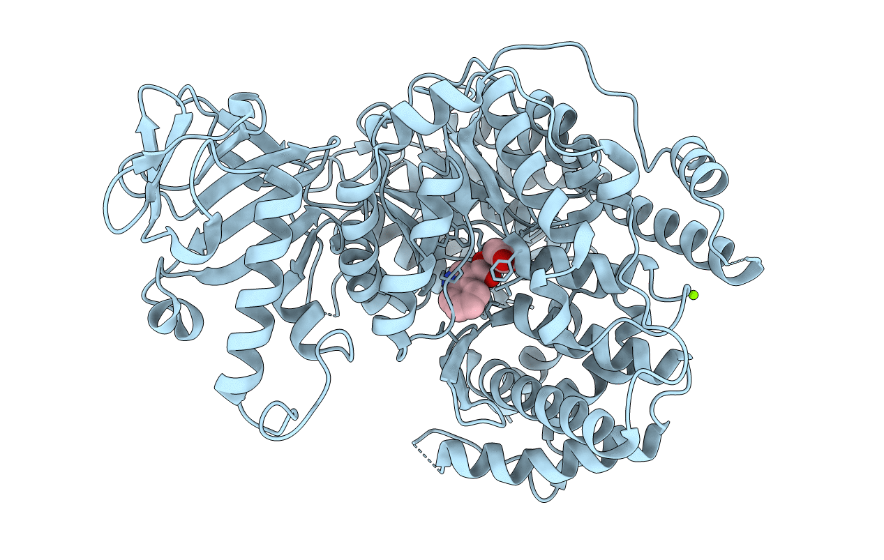 5CC5 image