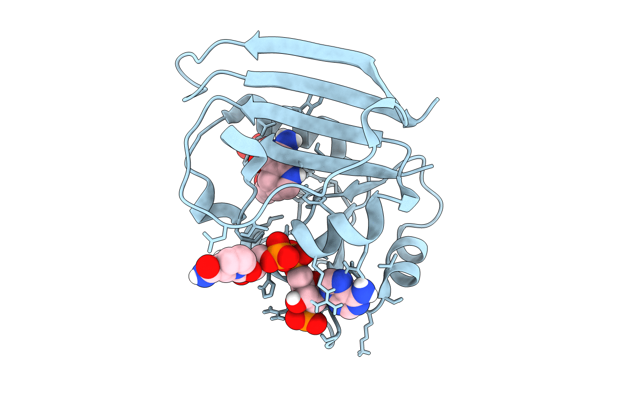 5CC9 image