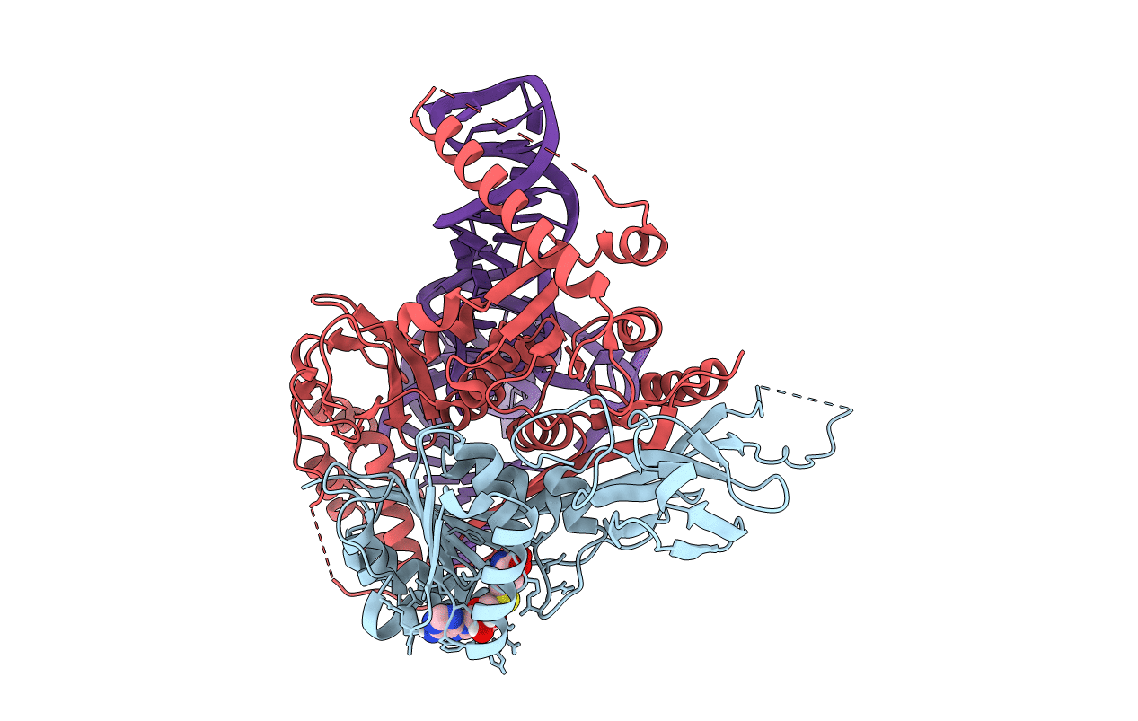 5CCB image