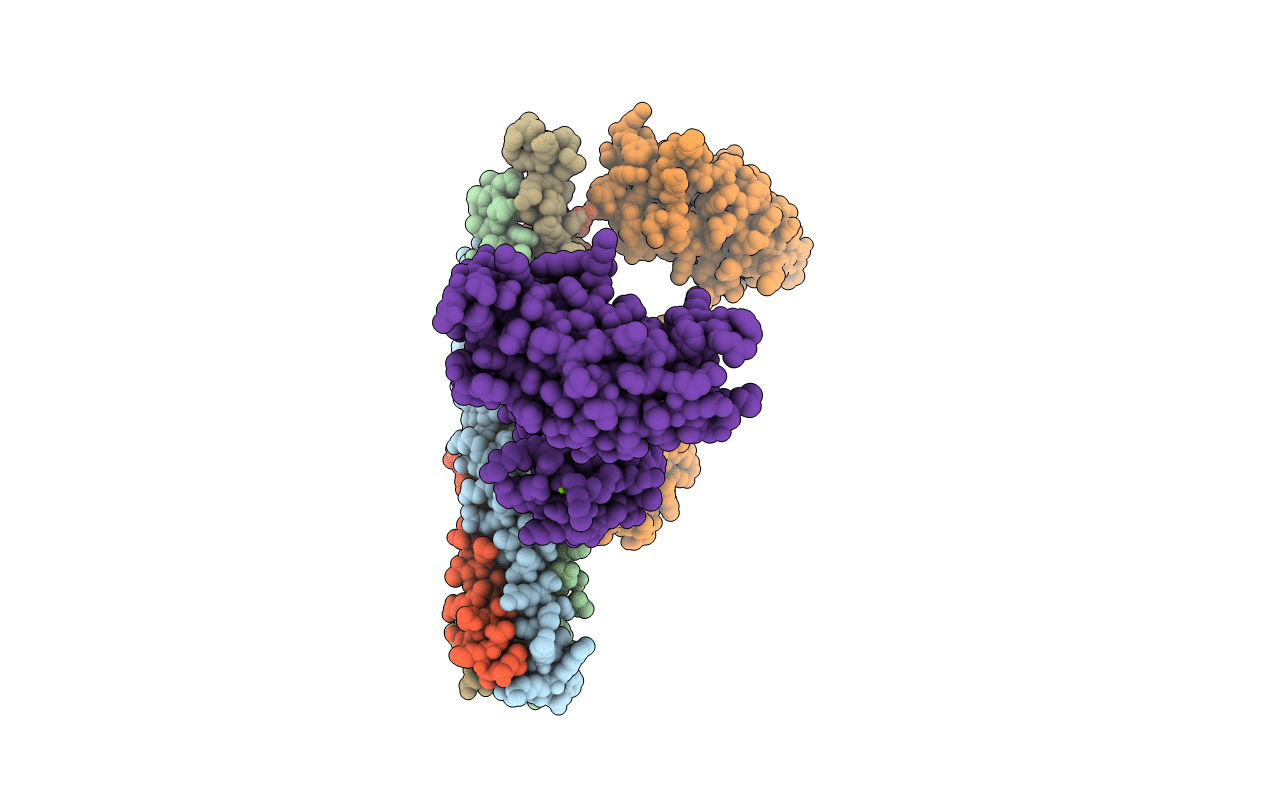 5CCI image