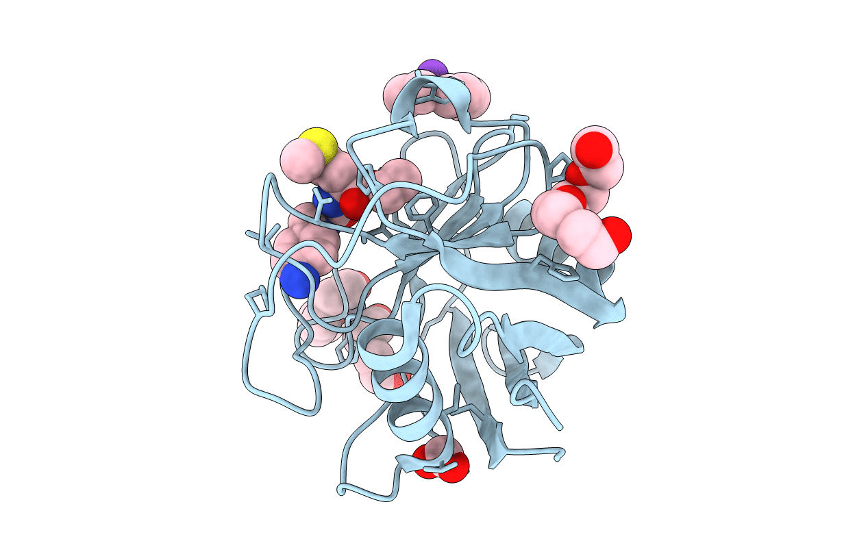 5CCR image