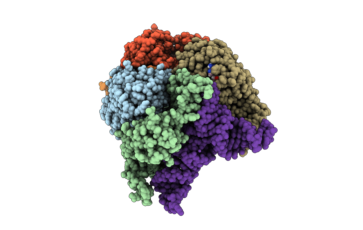 5CD1 image
