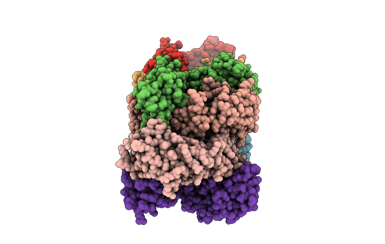 5CD3 image
