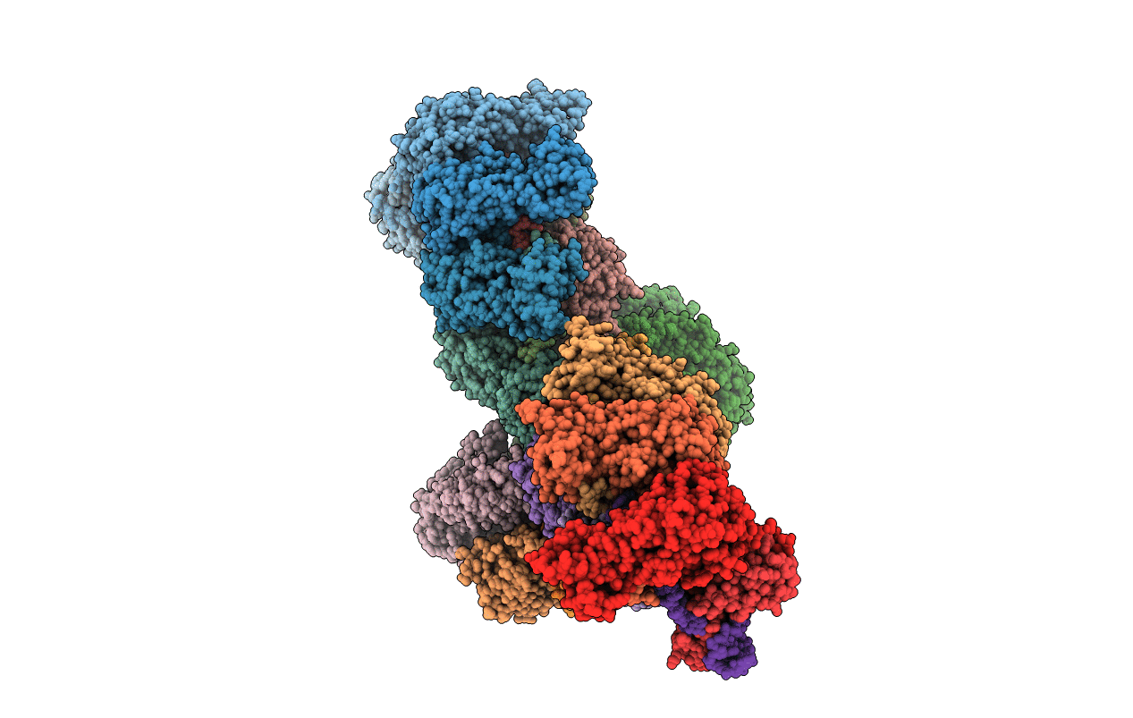 5CD4 image