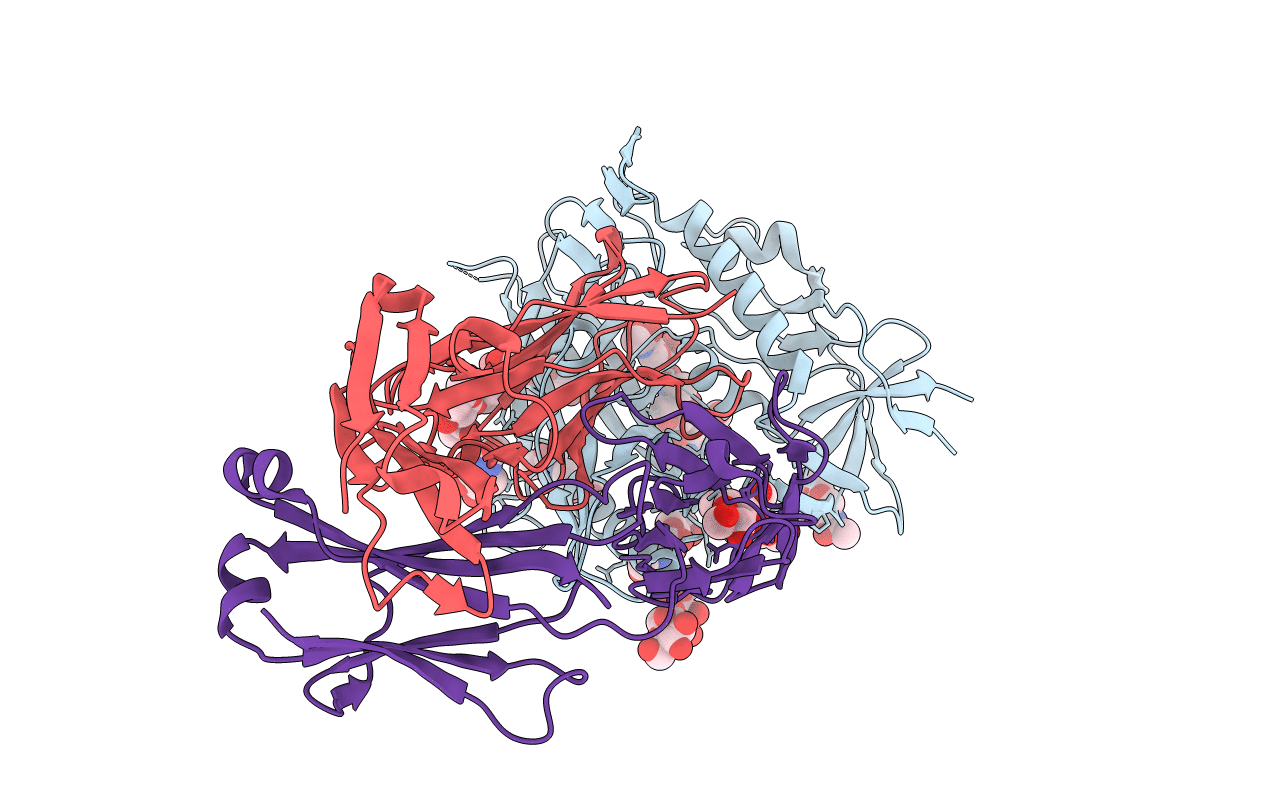 5CD5 image