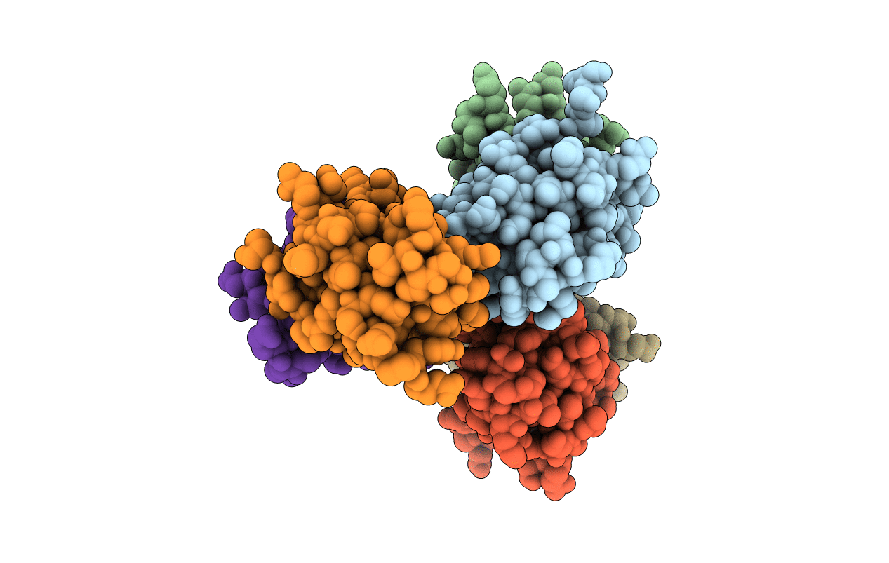 5cd8 image