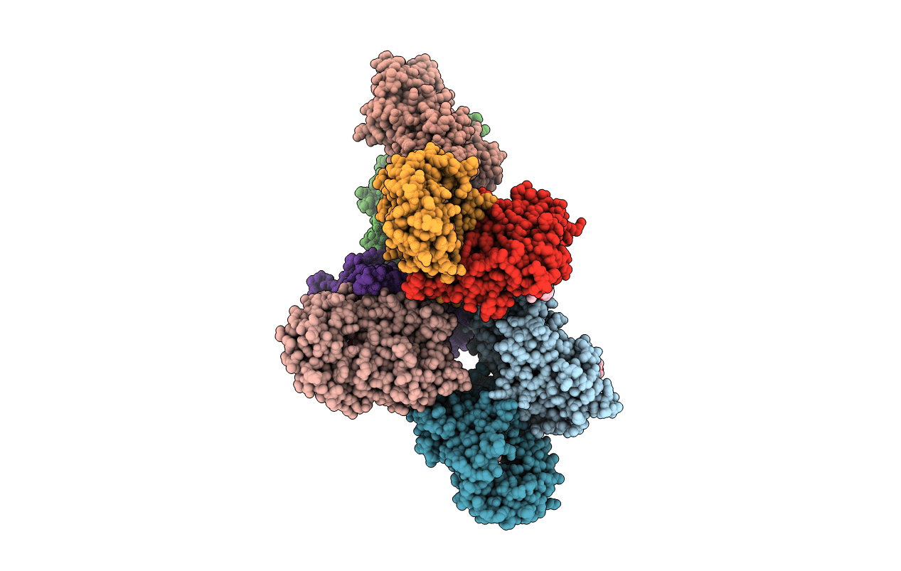 5CDH image