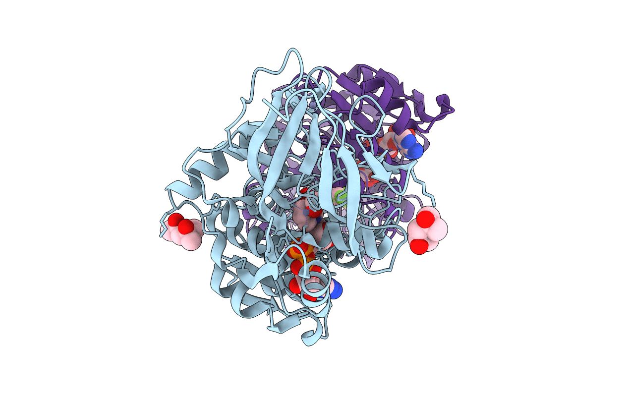 5CDS image