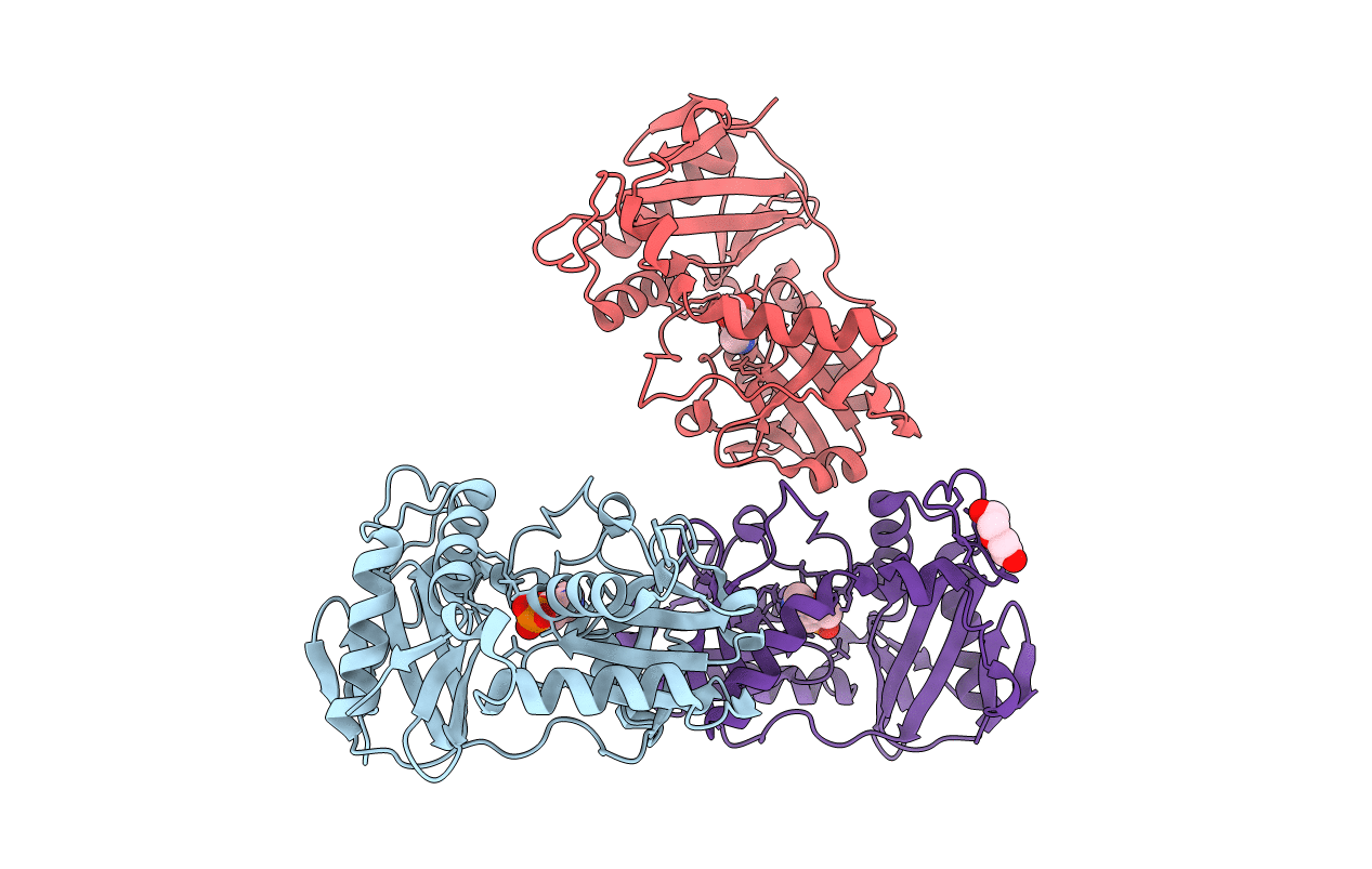 5CE8 image